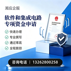 泸州软件和集成电路专项资金申报服务