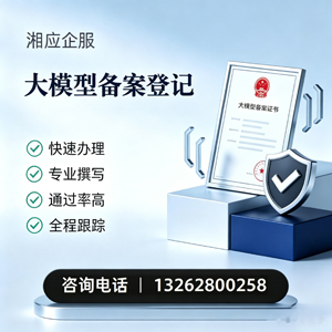 泸州大模型备案申报服务