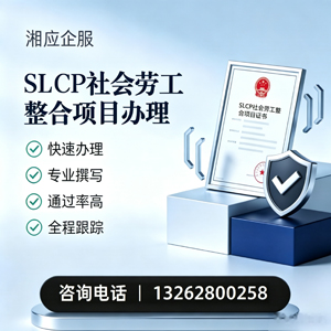 泸州SLCP社会劳工整合项目申报服务