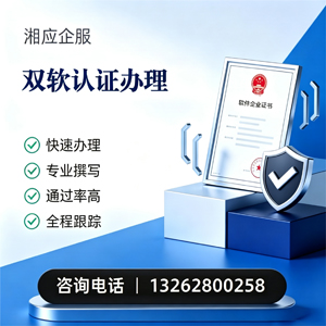 泸州双软认证申报服务