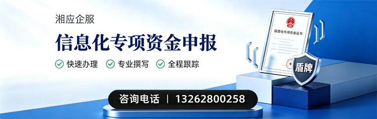 泸州信息化专项资金申报服务