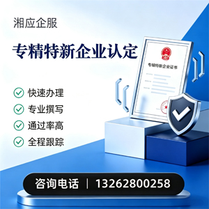 泸州专精特新企业申报服务