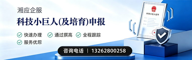 泸州科技小巨人及培育企业申报服务