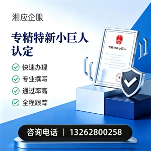 泸州专精特新小巨人申报服务