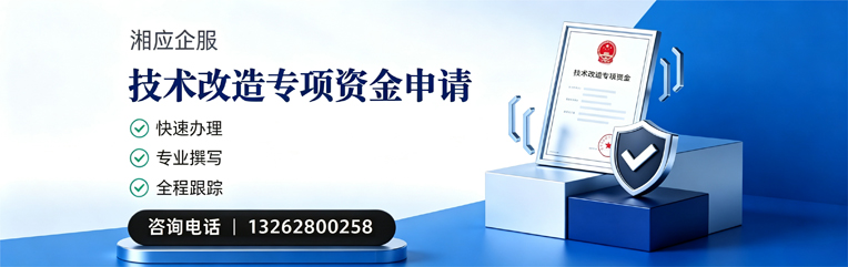 泸州技术改造专项资金申报服务