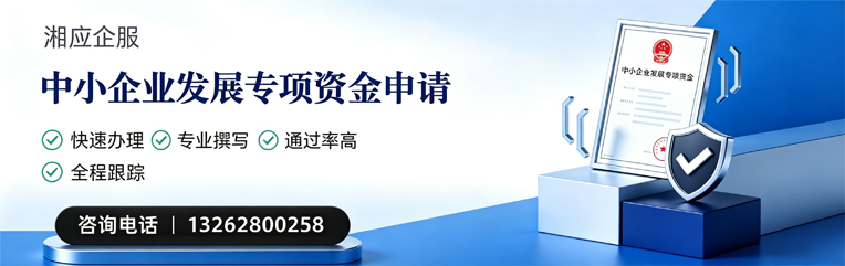 泸州中小企业发展专项资金申报服务