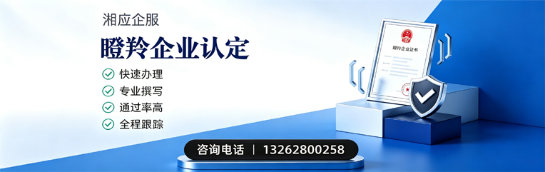 泸州瞪羚企业认定申报服务