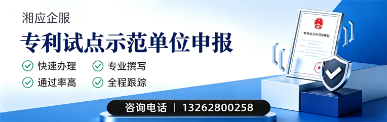 泸州专利试点示范单位申报服务