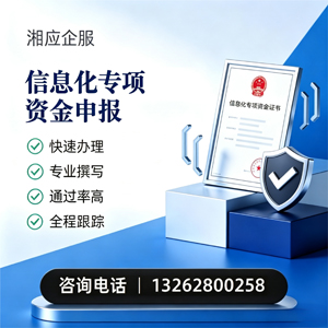 泸州信息化专项资金申报服务