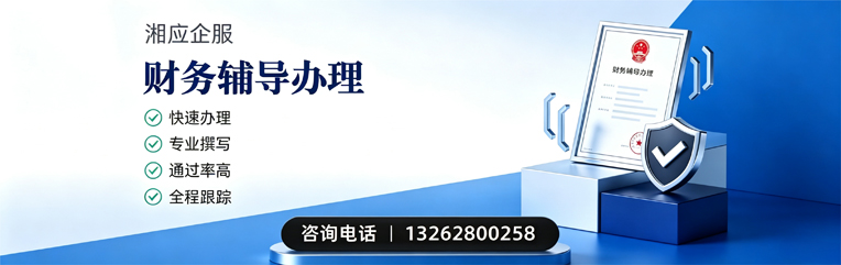 泸州财务辅导申请服务