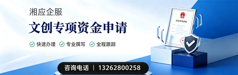 泸州文创专项资金申报服务