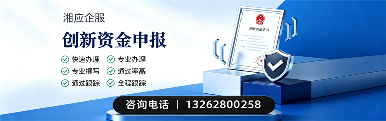 泸州创新资金申报服务