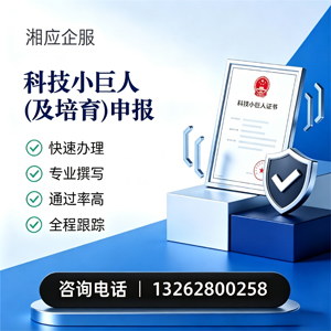 泸州科技小巨人及培育企业申报服务