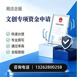 泸州文创专项资金申报服务