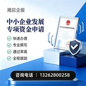 泸州中小企业发展专项资金申报服务