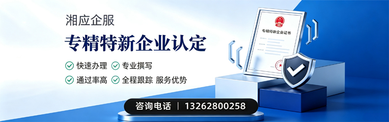 泸州专精特新企业申报服务