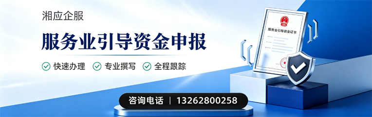 泸州服务业引导资金申报服务