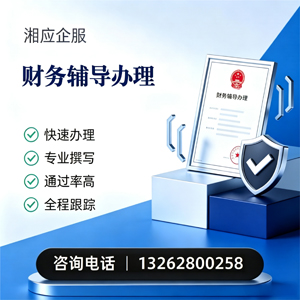 泸州财务辅导申请服务