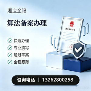 泸州算法备案申报服务