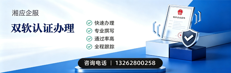 泸州双软认证申报服务