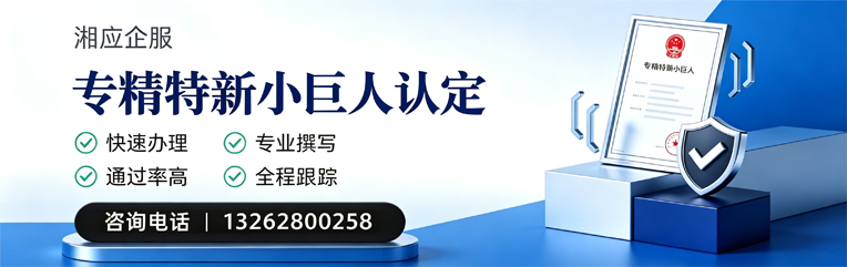 泸州专精特新小巨人申报服务